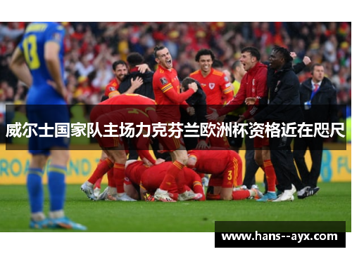 威尔士国家队主场力克芬兰欧洲杯资格近在咫尺