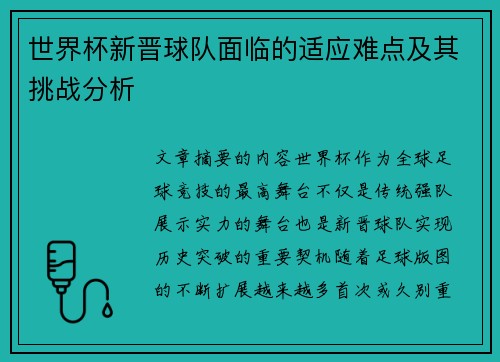 世界杯新晋球队面临的适应难点及其挑战分析