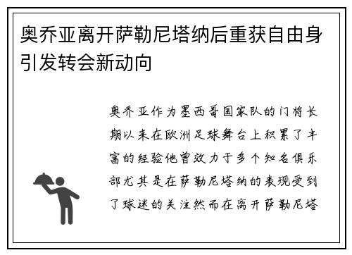 奥乔亚离开萨勒尼塔纳后重获自由身引发转会新动向