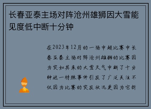 长春亚泰主场对阵沧州雄狮因大雪能见度低中断十分钟