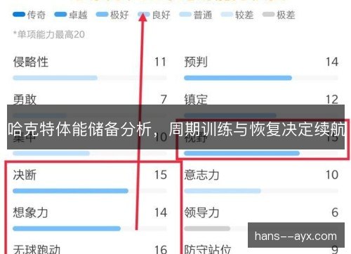 哈克特体能储备分析,周期训练与恢复决定续航 哈克特体能储备分析,周期训练与恢复决定续航